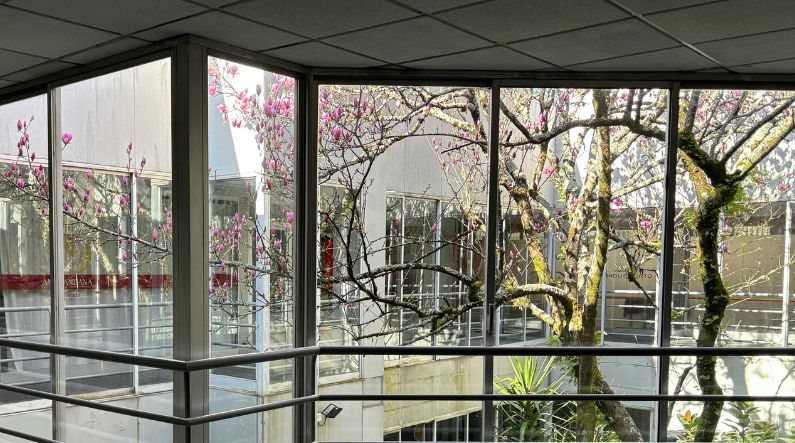 isolamento acustico finestre Isolamento acustico delle finestre: come scegliere serramenti antirumore